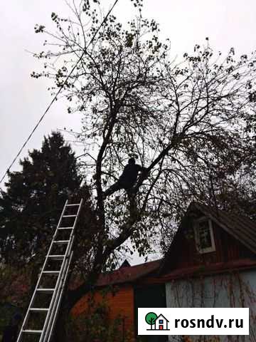 Сад Первомайский - изображение 1