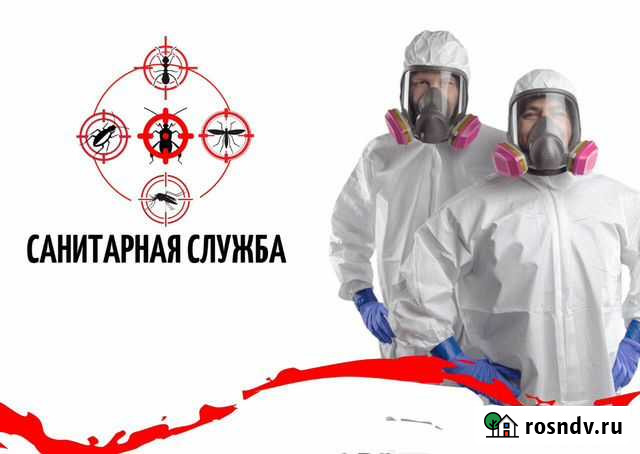 Уничтожение тараканов, клопов, блох, грызунов Яблоновский - изображение 1