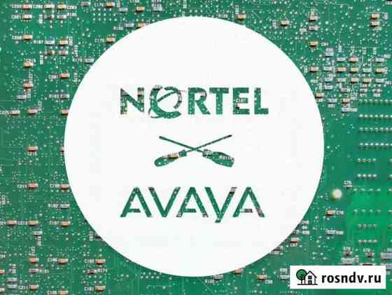 Монтаж, обслуживание, ремонт Nortel / Avaya Санкт-Петербург