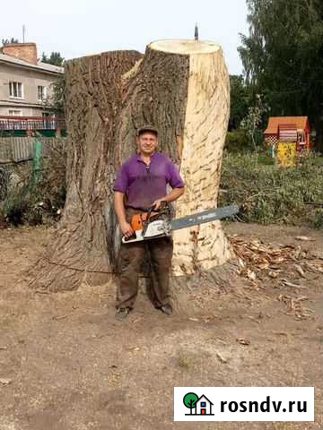 Спил деревьев и веток Курск - изображение 1