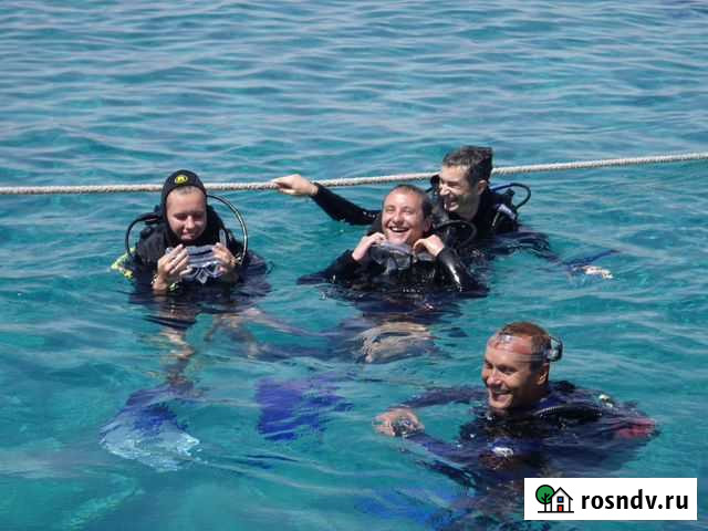 Обучение дайвингу по NDL. Пробные погружения Казань - изображение 1