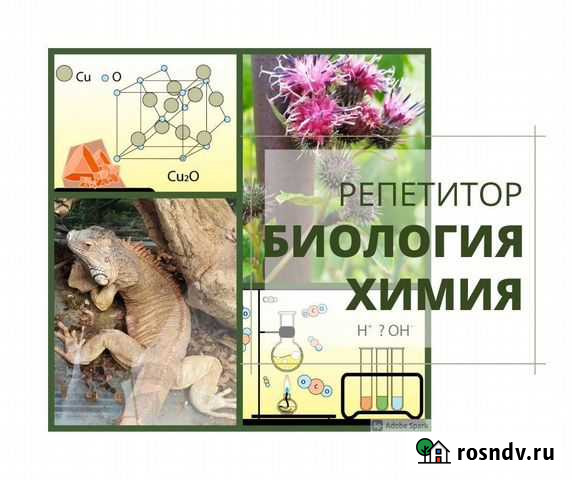 Репетитор по биологии и химии Рыбинск - изображение 1