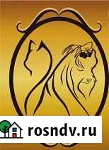 Стрижки животных Абакан - изображение 1