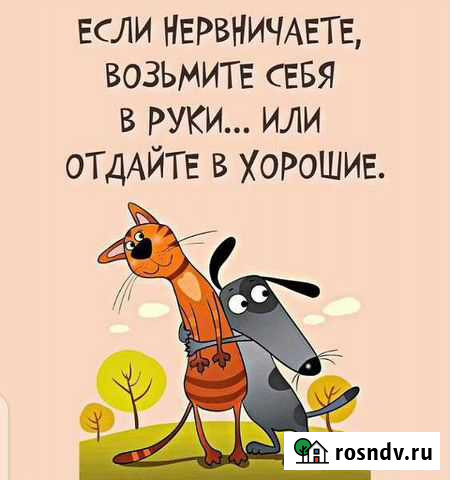 Мастер на час Воронеж - изображение 1