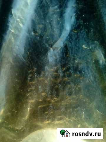 Кронштейн торсиона подъема каб.прав.Хюндай HD-72 Троицк - изображение 1