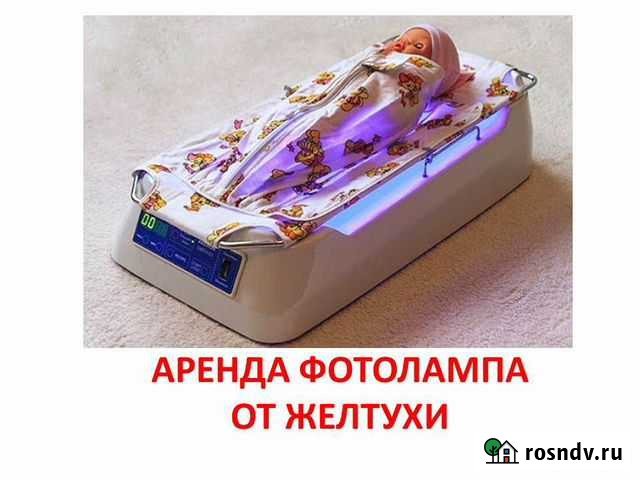 Фотолампа аренда прокат желтушка + весы Благтимка Благовещенск - изображение 1