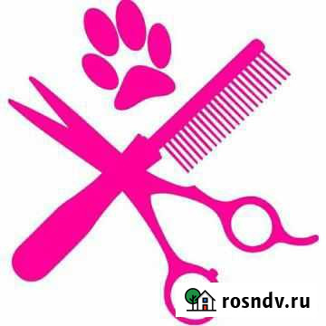 Груминг Калуга - изображение 1