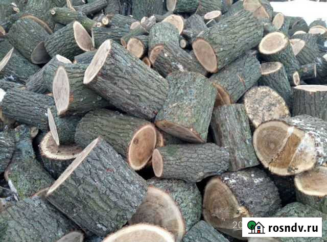 Дрова дубовые Белгород - изображение 1