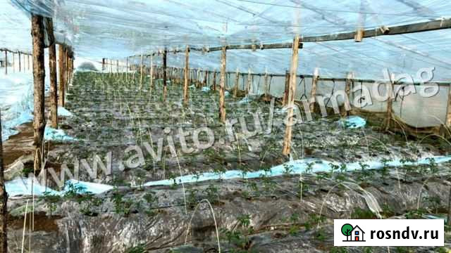 Композитные дуги для теплиц и парников Бахчисарай - изображение 1