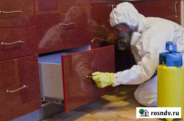 Поможем избавиться от насекомых Суздаль - изображение 1