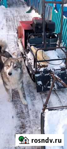 Продам мотобуксировщик Абан - изображение 1