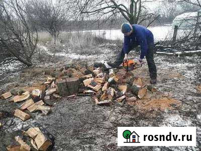 Спил деревьев, расчистка участков, демонтаж Прохоровка - изображение 1