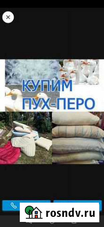 Для дома и дачи Курчатов - изображение 1