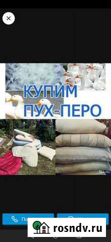 Для дома и дачи Курчатов - изображение 1