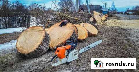Спил деревьев, расчистка участков.демонтаж Губкин - изображение 1