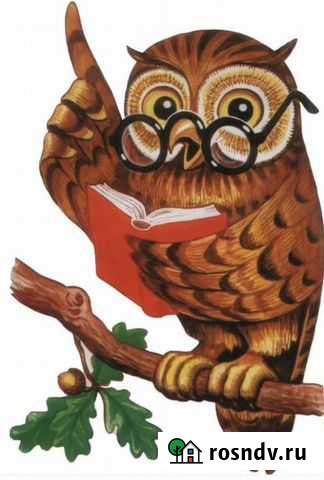 Репетитор по русскому языку Дятьково - изображение 1