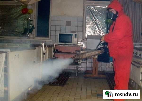 Дезинсекция, дератизация Барнаул - изображение 1