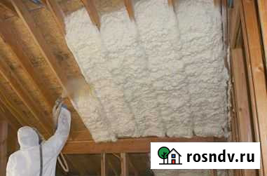 Не утепляйтесь ничем. Только ппу. Напыление Химки - изображение 1