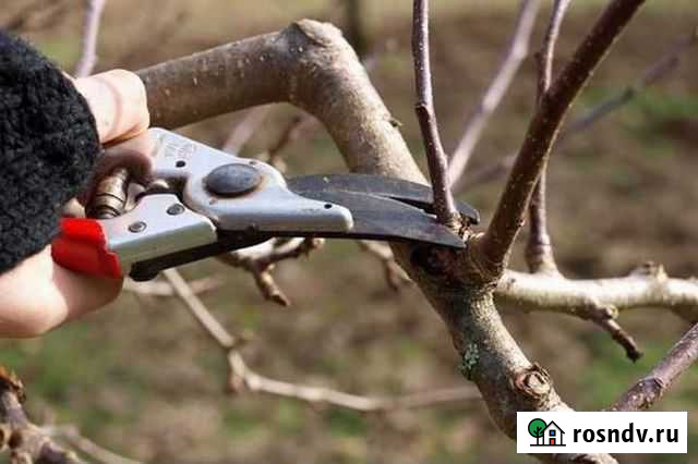 Обрезка сада Курск - изображение 1