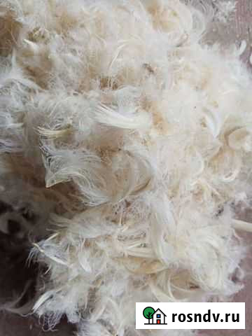 Пух перо, аккумуляторы, рога лося, оленя Аксай - изображение 1