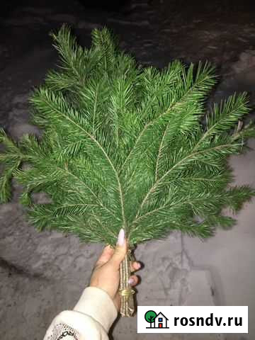 Пихтовые веники Самусь - изображение 1