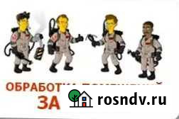 Смоленск. Уничтожение клопов и тараканов, клещей Смоленск - изображение 1