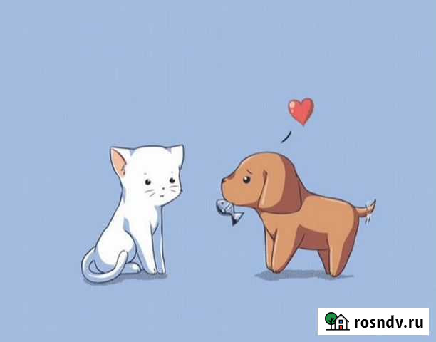 Передержка животных, зооняня, зоогостиница Коломна - изображение 1