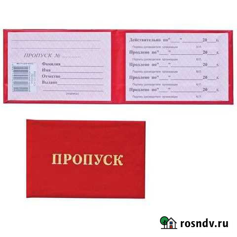 Бланк Пропуск Санкт-Петербург - изображение 1