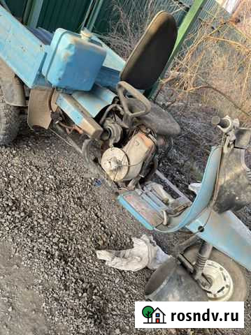 Муравей Ростов-на-Дону - изображение 1