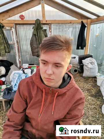 Услуги парикмахера на дому Ждановский - изображение 1