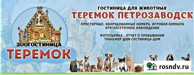 Зоогостиница, гостиница для животных Петрозаводск - изображение 1