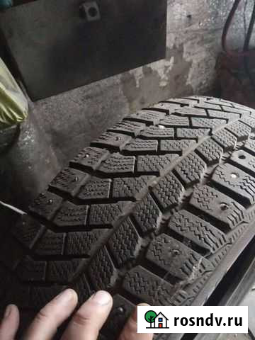 Accelera 195/65 R15 2шт Рославль - изображение 1