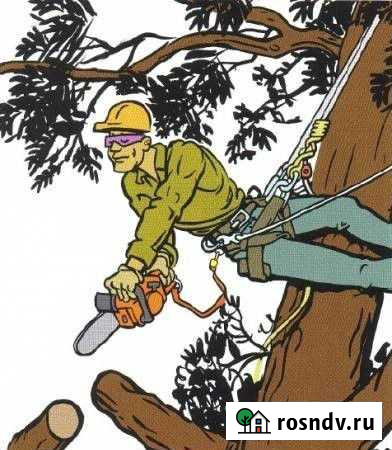 Спил деревьев, обрезка веток, кронирование, расчис Югорск - изображение 1