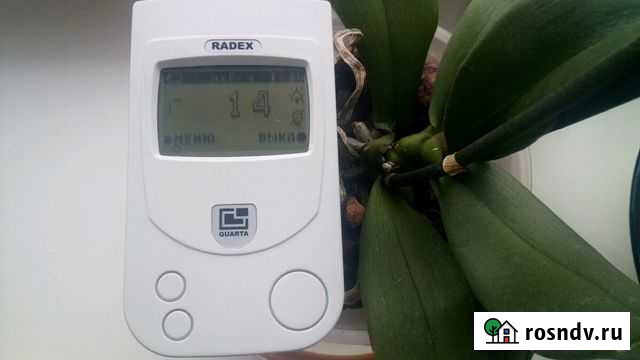 Аренда дозиметра радиации Radex RD1503 Новокузнецк - изображение 1