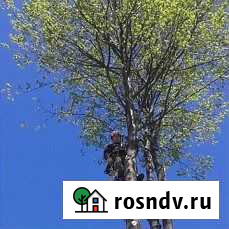 Спил,кронирование и валка деревьев Гороховец - изображение 1