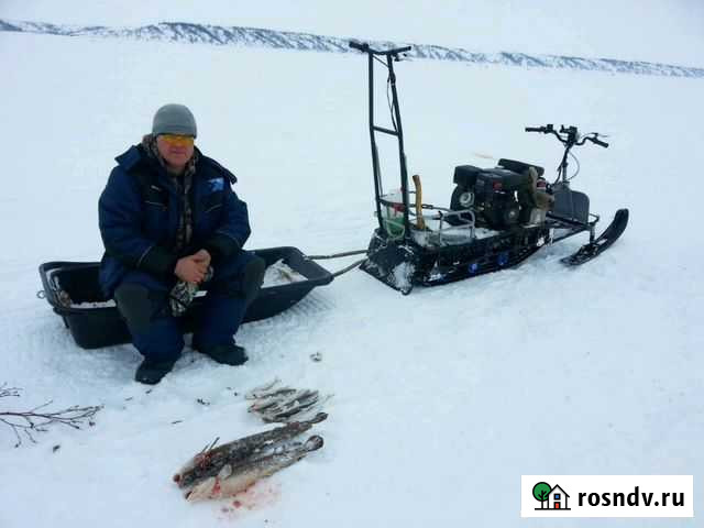 Мотобуксировщик мухтар 15 Норильск - изображение 1