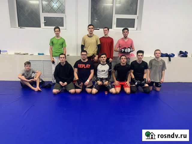 Тренировки по мма Ярославль - изображение 1