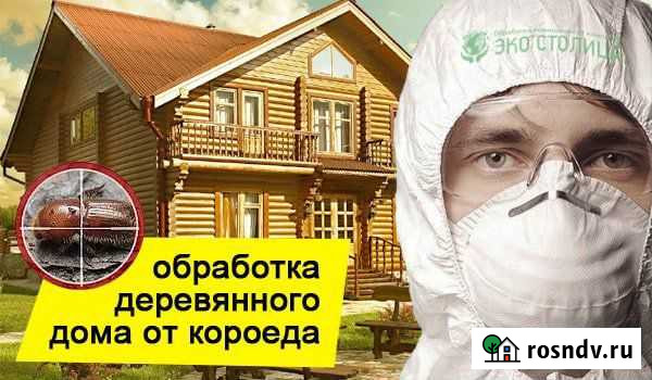 Уничтожение клопов тараканов Рязань - изображение 1