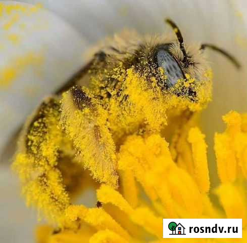 Срочный выкуп недвижимости Комсомольск-на-Амуре - изображение 1