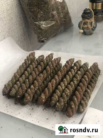 Привлечение любви, привлечение денег, мощные прогр Казань - изображение 1