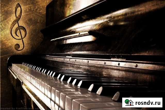 Уроки игры на фортепиано, гитаре, аккордеон Казань - изображение 1