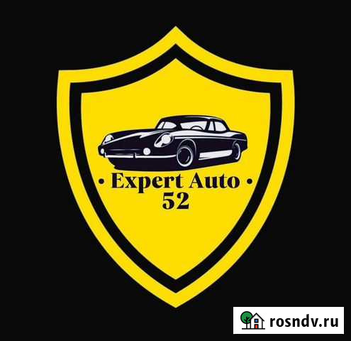 Диагностика авто,Эндоскопия,Автоподбор Дзержинск - изображение 1