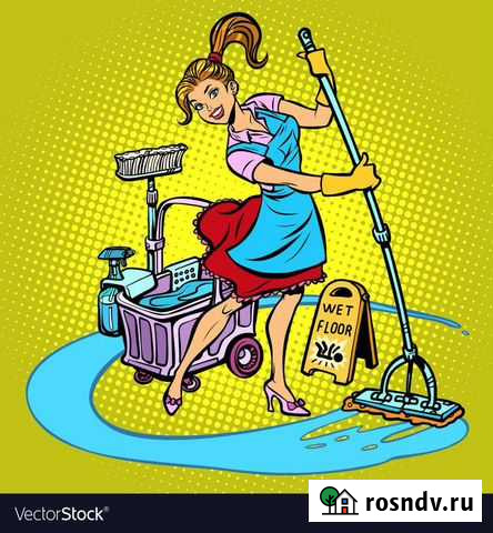 Уборка квартир и домов в Тамбове Тамбов - изображение 1