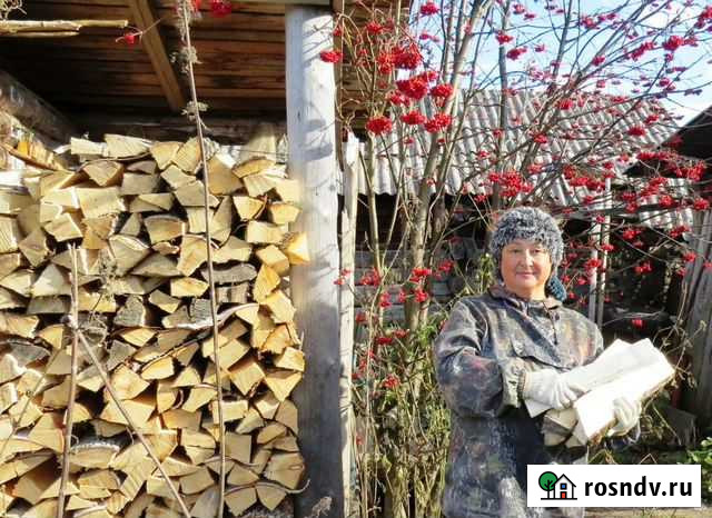 Дрова от производителя Смоленск - изображение 1