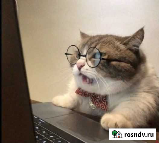 Стихи на заказ Нижний Кисляй - изображение 1