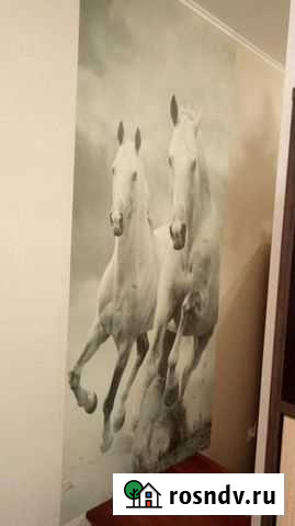 Ремонт и отделка квартир и офисов Бердск - изображение 1