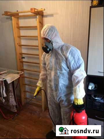 Дезинфекция Чита - изображение 1