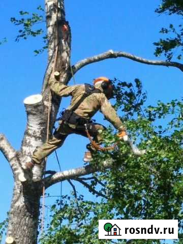 Спил опасных деревьев Уфа - изображение 1