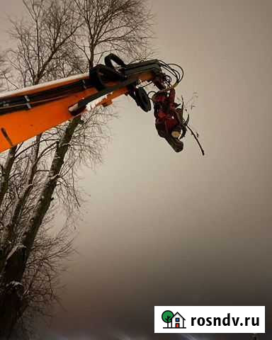 Гидро захват Обрезаем деревья обрезка валка Гурьевск - изображение 1