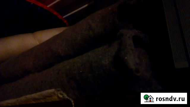 Дорнит Стрежевой - изображение 1